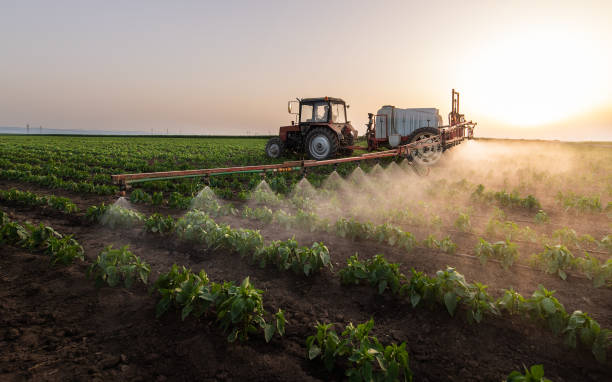 Best Pest Control for Homes  in Marysville, KS