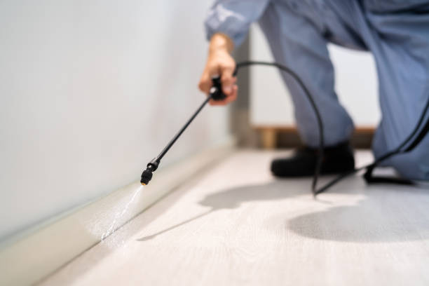 Best Flea Control Services  in Marysville, KS