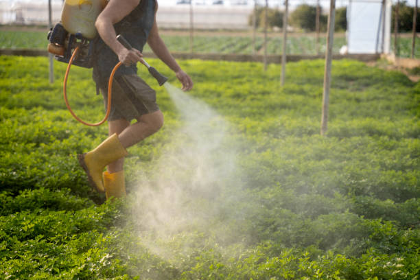 Best Pest Inspection Near Me  in Marysville, KS