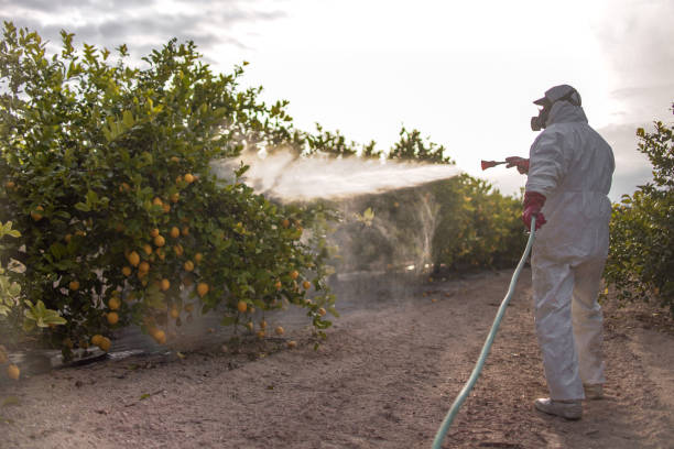 Best Cockroach Control Services  in Marysville, KS
