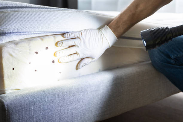 Professional Pest Control in Marysville, KS