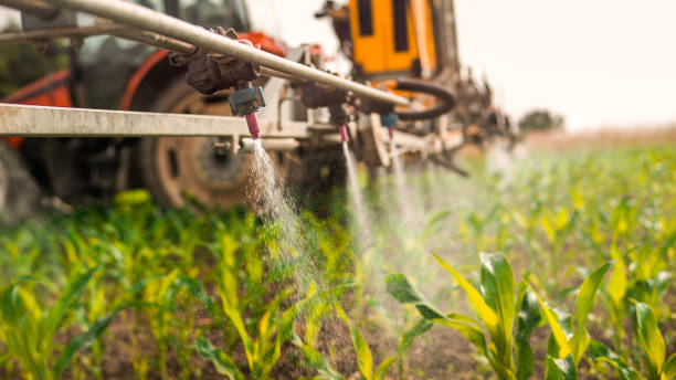 Best Pest Removal Services  in Marysville, KS