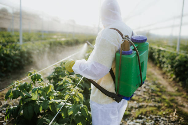 Best Cockroach Control Services  in Marysville, KS